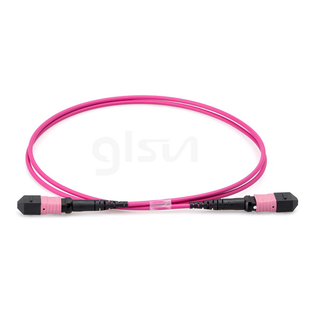 2m Fiber Optic Elite Trunk Cable OM4 Multimode MTP® Female 12 Fibers Type B Plenum Magenta